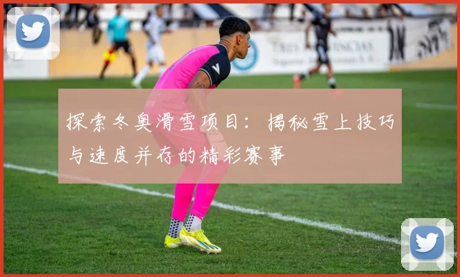 探索冬奥滑雪项目：揭秘雪上技巧与速度并存的精彩赛事